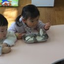 자연유치원 이미지