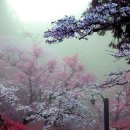 재미있는 일본어 회화 중급 이미지