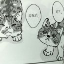 보케포케