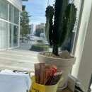 유어 그릭 이미지