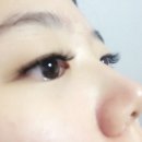 곱따 Daum카페