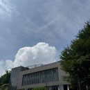 수원CC | 경기도 파3 골프장 잔디 관리 좋은 수원cc 후기