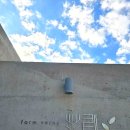 영광의 빛 | [영광 백수해안도로] _ '카페보리'｜현대건축미와 바다 풍경이 인상적인 카페 보리 후기