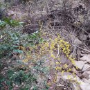 엄궁농산물시장 이미지