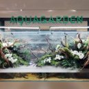 아쿠아가든카페 양재점 이미지