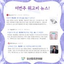 조은실비 네이버블로그