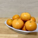 수진이네