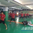 호키종합체육관 스포츠조선
