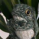 비코3호 이미지