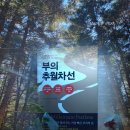 부의 추월차선 (엠제이 드마코) 책 후기·추천 리뷰·핵심 요약 <꼰대의 시선으로 추월차선을 읽다>