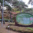 추부문화의집 | 대전 만인산자연휴양림 휴양관 동박새 11월 평일 숙박 후기