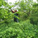 자연농원 이미지