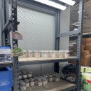 속옷아울렛 | 인천 와이케이 아울렛 쇼핑 후기 가성비 마트 주말 솔직 리뷰