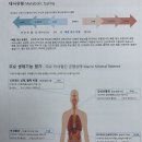 미네랄바이오텍 이미지