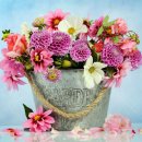 법사 행정사 이미지