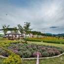 천년의 정원 이미지