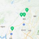 대광리 은행나무 이미지