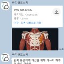 우성축산물도;소매센터 | 위례 체형교정 <바디앤포스처 체형교정센터> 물리치료사 원장님 1:1 레슨 후기 (체형 진단/분석/교정 운동)