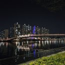 휴먼브릿지 | 부산 수영강 휴먼브릿지 야경 산책 후기 가는길 시간 주차 정보