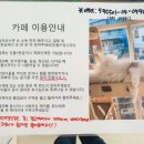 디캣 이미지