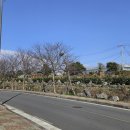 제주청개구리부동산중개 이미지