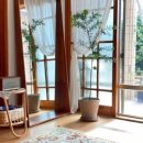 예래느랑 이미지