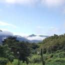 하동산수애 이미지