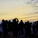 임천시장 공영 주차장 이미지