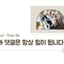 조이앤동물병원 이미지