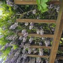 여선공원 이미지