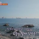 우도자리돔물회 이미지
