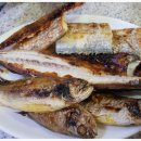 푸른식당 이미지