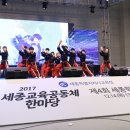 세종교육