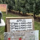 윤홍농장 이미지