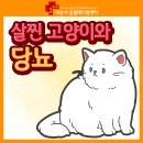 대명동물병원 이미지