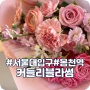 커들리블라썸 이미지