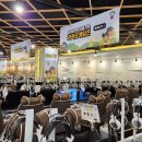 PC카카오 PC방 이미지