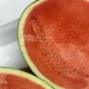 야채도사과일도사 - 해운대구 세실로 87 | 야채도사과일도사