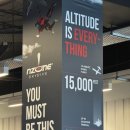 멍549 | 퀸즈타운 :: NZONE 스카이다이빙 15000피트 후기 (가격, 캠 추가, 소요 시간)