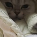 클린&G청소전문업체 이미지