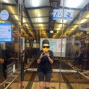 사하구 강변대로 이미지