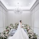 2539 | 웨딩시그니처 합정 내돈내산 본식스냅 후기 - 엘레나 아뜰리에 (추천인코드 포함)