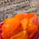 진명농원 이미지