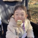 장터추어탕캠핑장 이미지