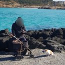 24시스마트동물메디컬센터 | 전주 24시 동물병원 센트럴동물메디컬센터 강아지 고양이 관절 수술 기록