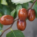 비타민휘트니스클럽 이미지