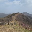 도립애경사났네 | ⛰️이천 원적산, 진달래 명소 - 초보도 가능한 트래킹 코스 + 주차/소요시간 정리(등린이)