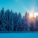 보인한의원 이미지