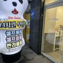 엔조이펫 이미지