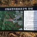 대청산림개발